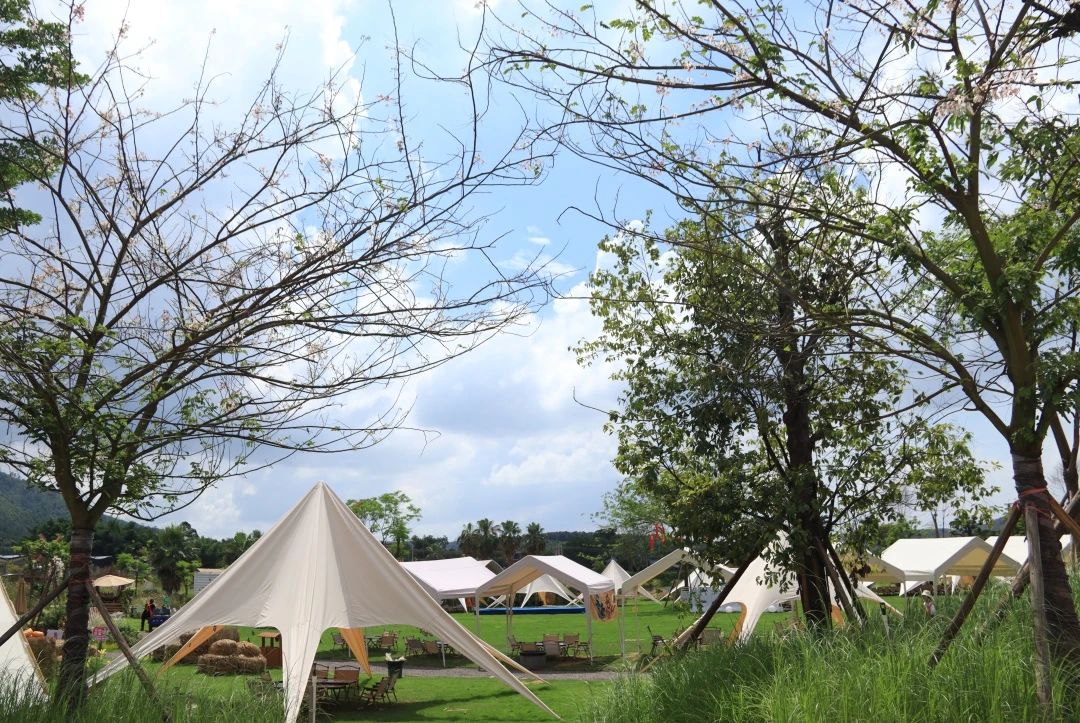 石兄弟 | 一群人，一個(gè)目標(biāo)，一起成長(zhǎng)！